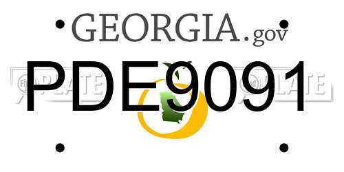PDE9091 Georgia License Plate