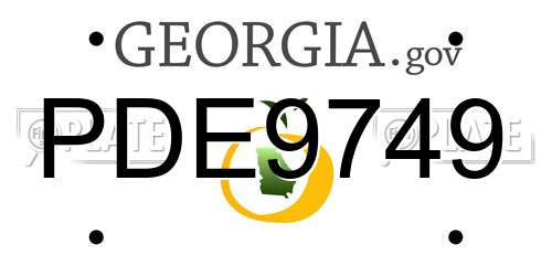 PDE9749 Georgia License Plate