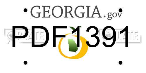 PDF1391 Georgia License Plate