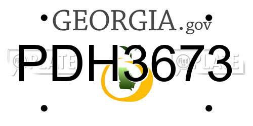 PDH3673 Georgia License Plate
