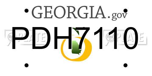 PDH7110 Georgia License Plate
