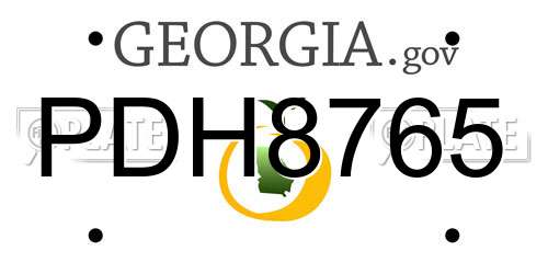 PDH8765 Georgia License Plate