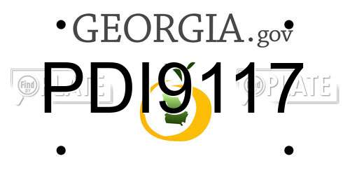 PDI9117 Georgia License Plate