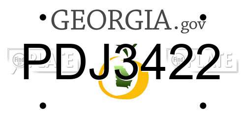 PDJ3422 Georgia License Plate