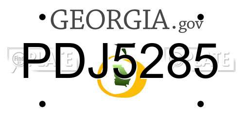 PDJ5285 Georgia License Plate