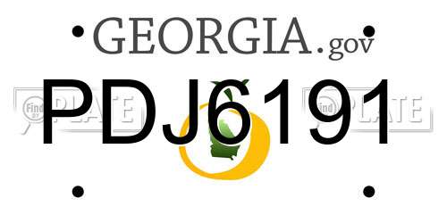 PDJ6191 Georgia License Plate
