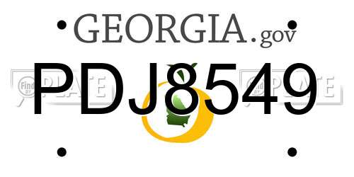 PDJ8549 Georgia License Plate
