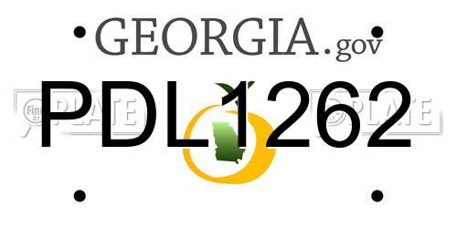PDL1262 Georgia License Plate