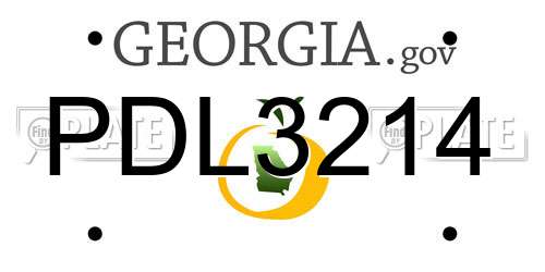 PDL3214 Georgia License Plate