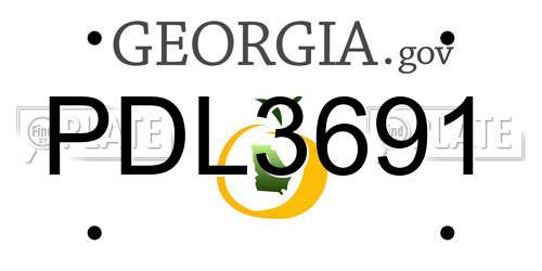 PDL3691 Georgia License Plate