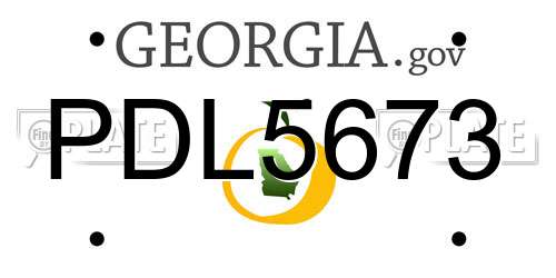 PDL5673 Georgia License Plate