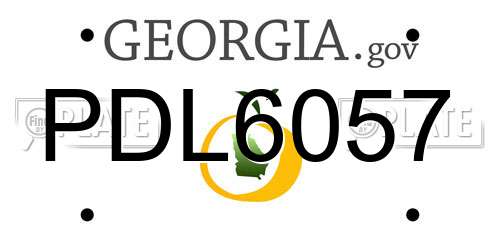 PDL6057 Georgia License Plate