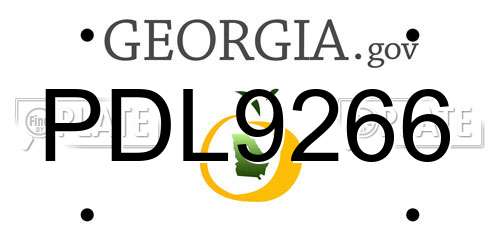 PDL9266 Georgia License Plate