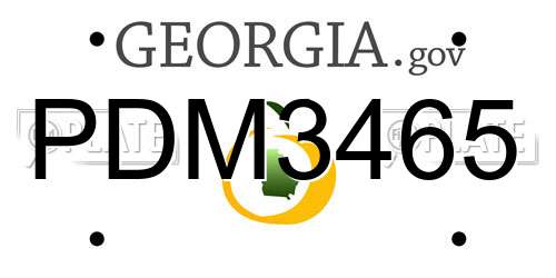 PDM3465 Georgia License Plate