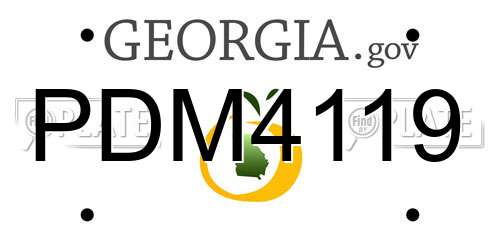 PDM4119 Georgia License Plate