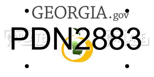 PDN2883 Georgia License Plate