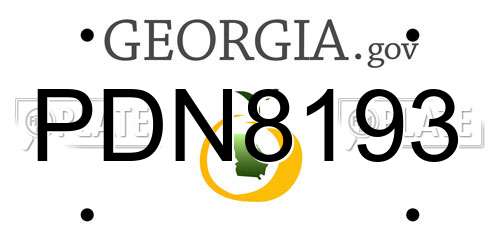 PDN8193 Georgia License Plate