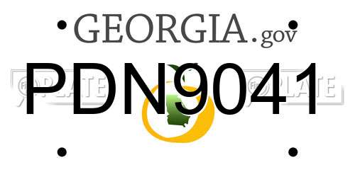 PDN9041 Georgia License Plate