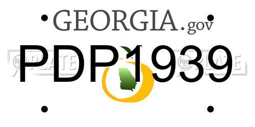 PDP1939 Georgia License Plate