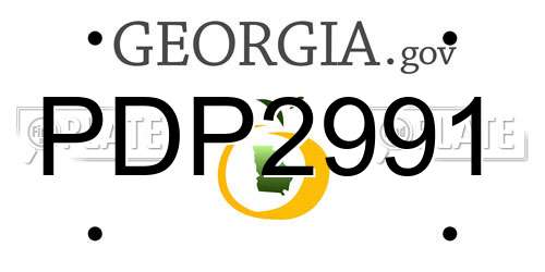 PDP2991 Georgia License Plate