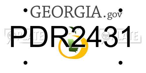PDR2431 Georgia License Plate