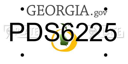 PDS6225 Georgia License Plate