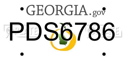 PDS6786 Georgia License Plate