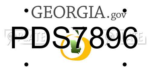 PDS7896 Georgia License Plate