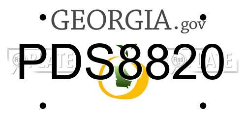 PDS8820 Georgia License Plate