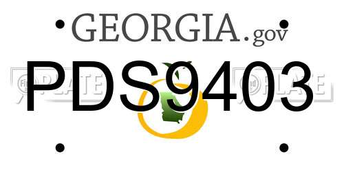 PDS9403 Georgia License Plate