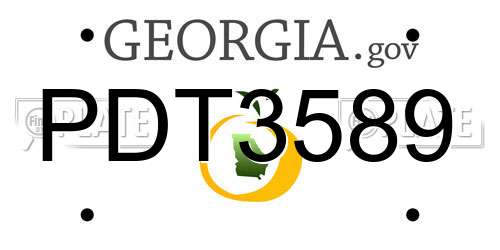 PDT3589 Georgia License Plate