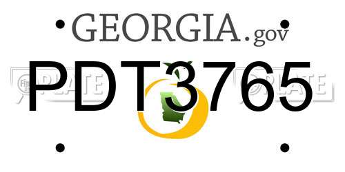 PDT3765 Georgia License Plate