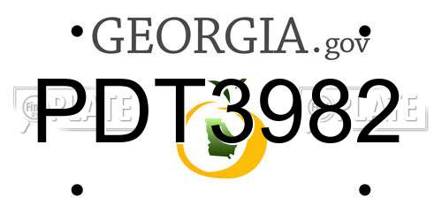 PDT3982 Georgia License Plate