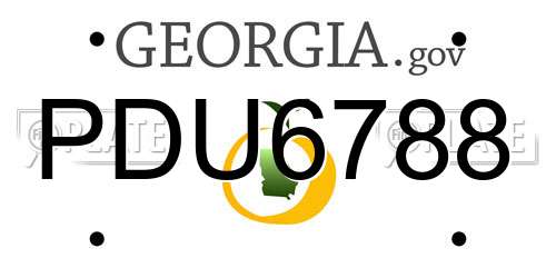 PDU6788 Georgia License Plate
