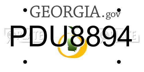 PDU8894 Georgia License Plate