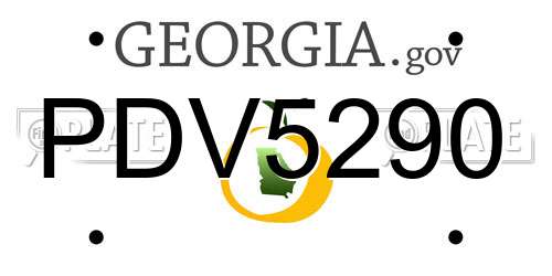 PDV5290 Georgia License Plate