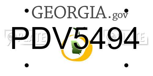 PDV5494 Georgia License Plate