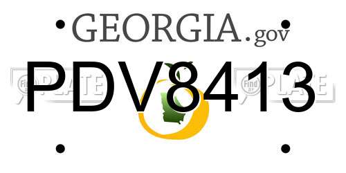 PDV8413 Georgia License Plate