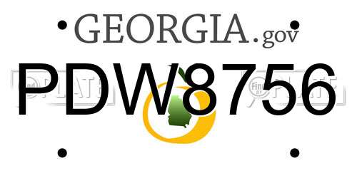 PDW8756 Georgia License Plate