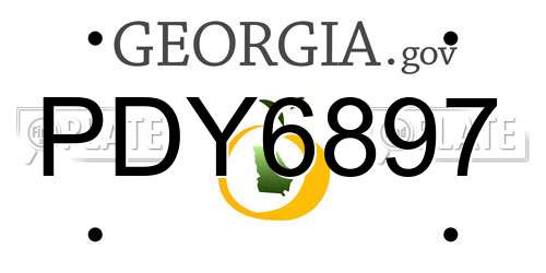 PDY6897 Georgia License Plate