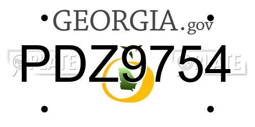 PDZ9754 Georgia License Plate
