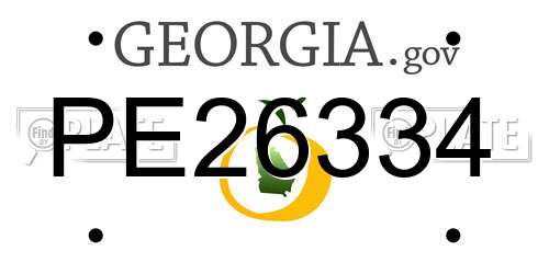 PE26334 Georgia License Plate