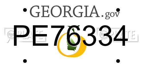 PE76334 Georgia License Plate