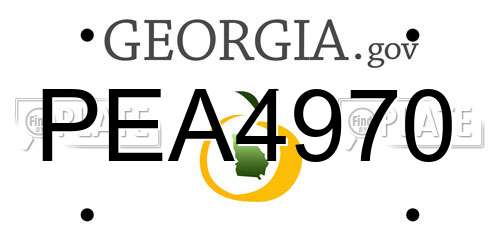PEA4970 Georgia License Plate