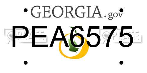 PEA6575 Georgia License Plate