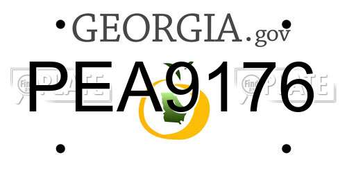 PEA9176 Georgia License Plate