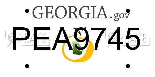 PEA9745 Georgia License Plate