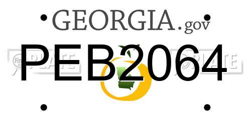 PEB2064 Georgia License Plate