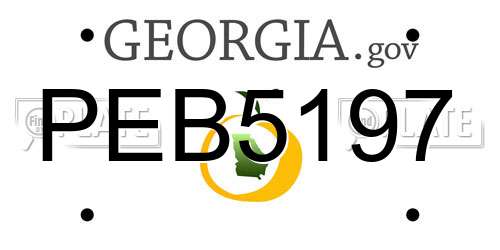 PEB5197 Georgia License Plate