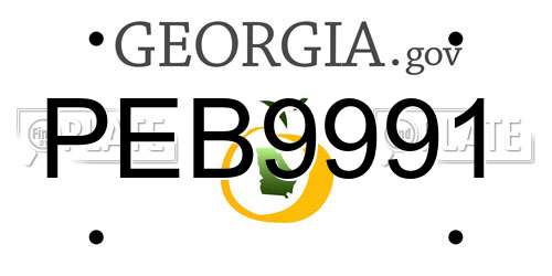 PEB9991 Georgia License Plate